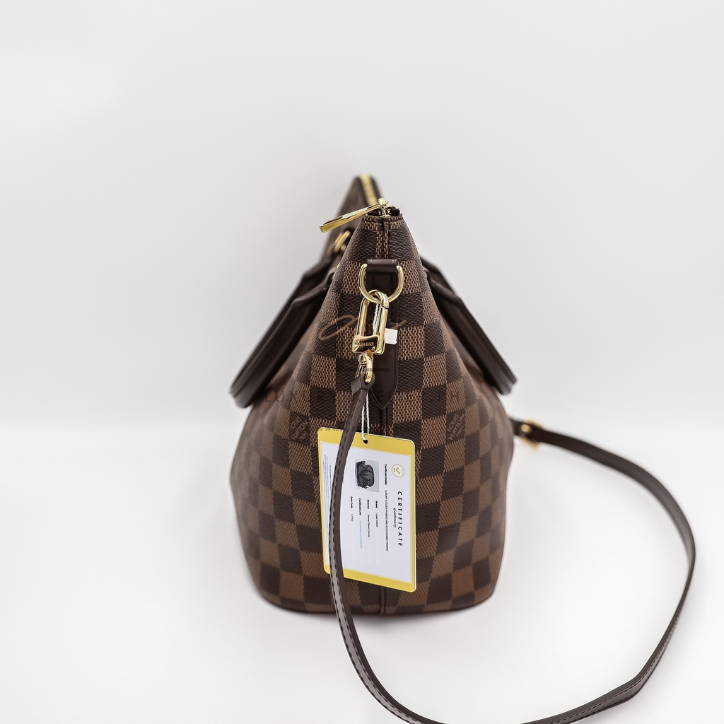 Louis Vuitton Sienna MM Review + Size, Mod Shots & What Fits! 