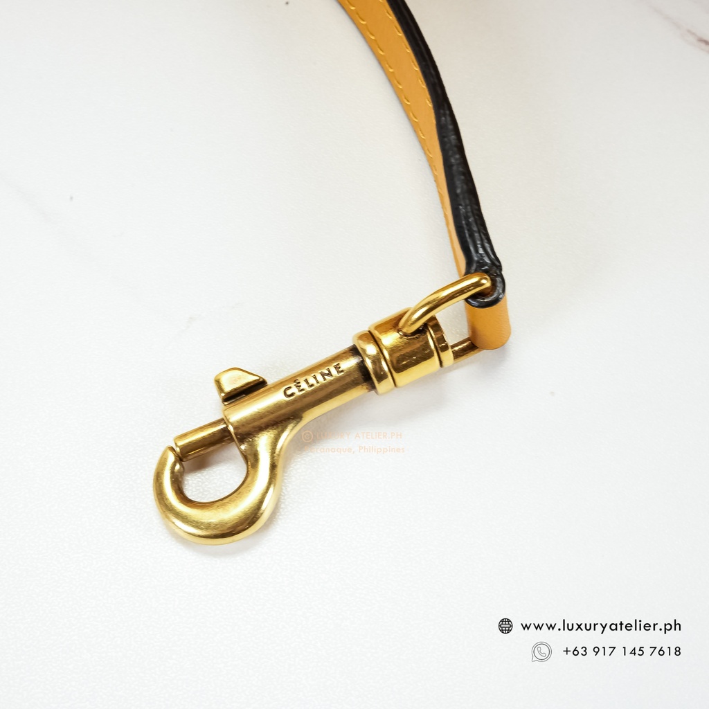 Celine Nano Luggage